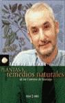 Plantas y remedios naturales | 9999902847084 | Alfaro Morton, Txumari