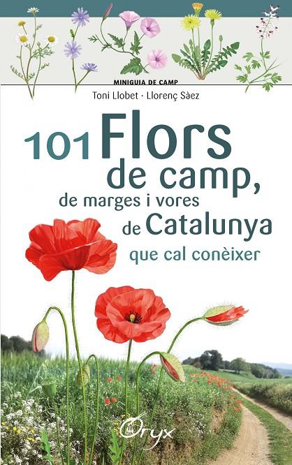 101 flors de camp, de marges i vores de Catalunya | 9788490348413 | Sàez Goñalons, Llorenç / Llobet François, Toni