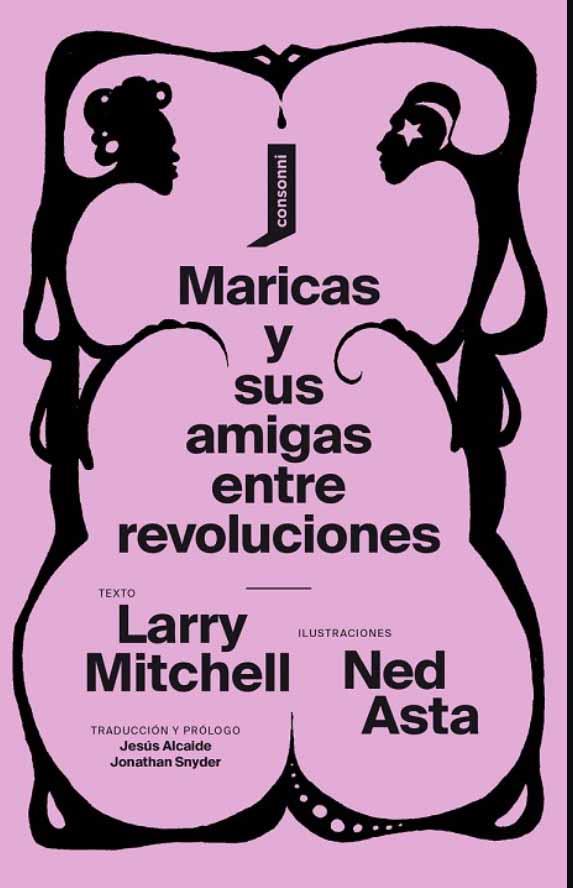 Maricas y sus amigas entre revoluciones | 9788416205769 | Mitchell, Larry