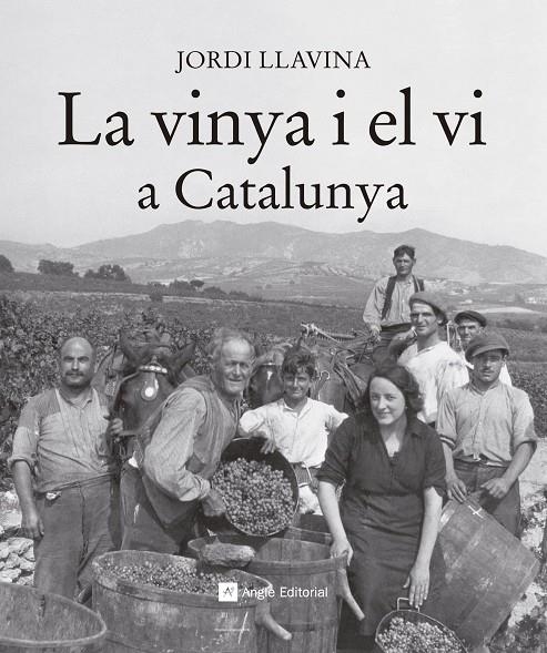 La vinya i el vi a Catalunya | 9788416139187 | Llavina Murgadas, Jordi