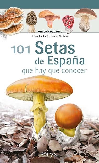 101 Setas de España | Llobet François, Toni / Gràcia i Barba, Enric | Llibreria La Figaflor - Abrera