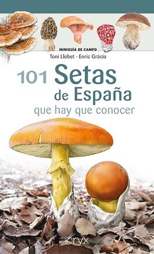 101 Setas de España | Llobet François, Toni / Gràcia i Barba, Enric | Llibreria La Figaflor - Abrera