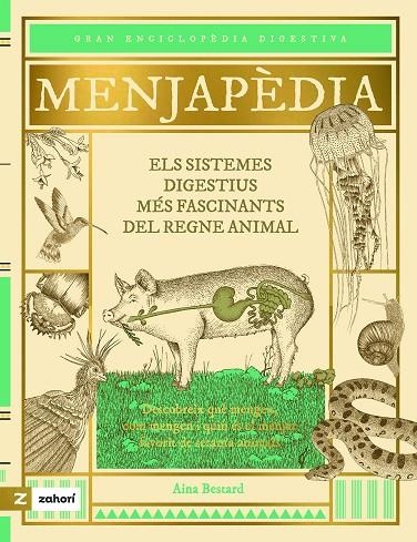 Menjapèdia | Aina Bestard | Llibreria La Figaflor - Abrera
