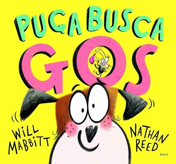 Puça busca gos | Mabbitt, Will | Llibreria La Figaflor - Abrera
