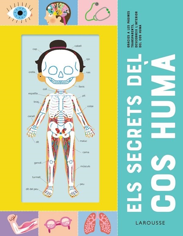 Els secrets del cos humà | Éditions Larousse | Llibreria La Figaflor - Abrera