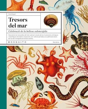 Tresors del mar | Margarit, Núria | Llibreria La Figaflor - Abrera