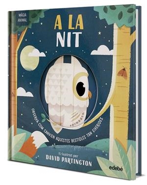 MÀGIA ANIMAL. A LA NIT | Clark, Neil / Stone, Harriet | Llibreria La Figaflor - Abrera