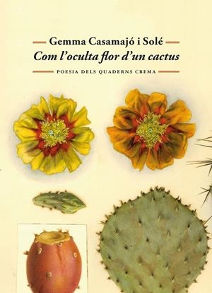 Com l'oculta flor d'un cactus | Casamajó i Solé, Gemma | Llibreria La Figaflor - Abrera