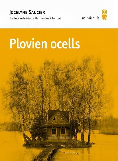 Plovien ocells | Saucier, Jocelyne | Llibreria La Figaflor - Abrera