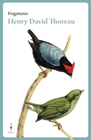 Fragments Henry David Thoreau | Thoreau, Henry David | Llibreria La Figaflor - Abrera