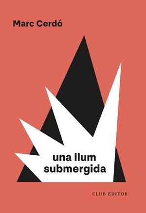 Una llum submergida | Cerdó, Marc | Llibreria La Figaflor - Abrera