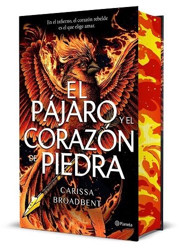 El pájaro y el corazón de piedra (Edición Deluxe) | Broadbent, Carissa | Llibreria La Figaflor - Abrera