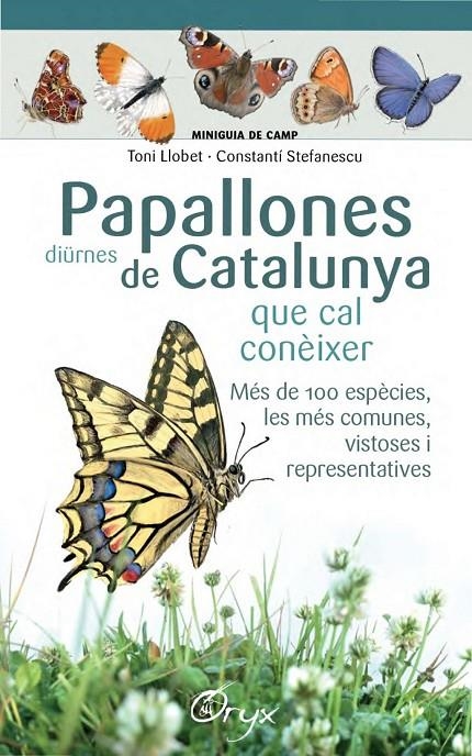 Papallones diürnes de Catalunya | Llobet François, Toni / Stefanescu, Constanti | Llibreria La Figaflor - Abrera