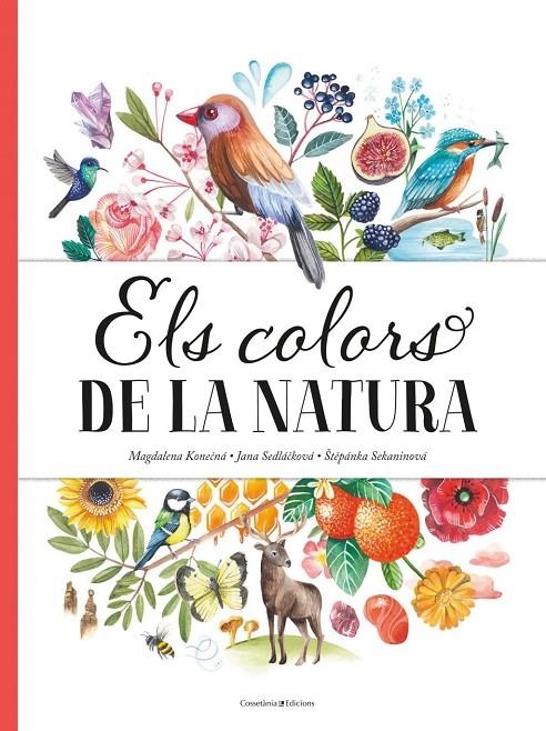 Els colors de la natura | , JANA SEDLACKOVA / Sekaninova, Stepanka | Llibreria La Figaflor - Abrera