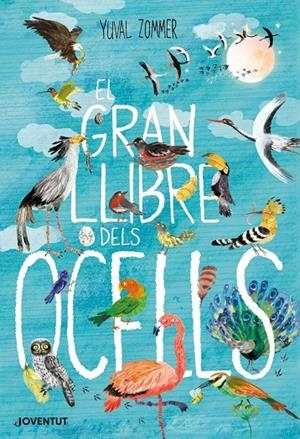 El gran llibre dels ocells | , Yuval Zommer | Llibreria La Figaflor - Abrera