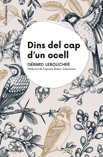 Dins del cap d'un ocell | Leboucher, Gérard | Llibreria La Figaflor - Abrera