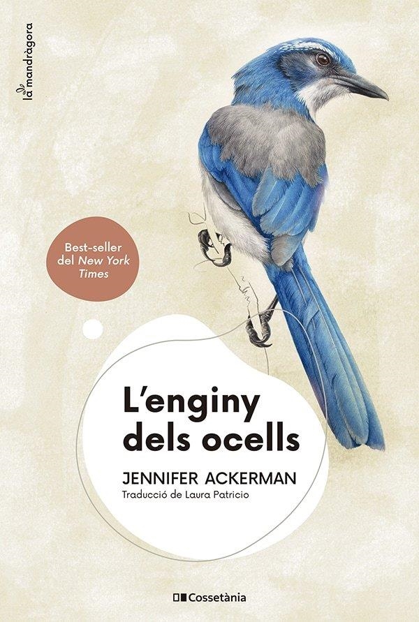 L'enginy dels ocells | Ackerman, Jennifer | Llibreria La Figaflor - Abrera