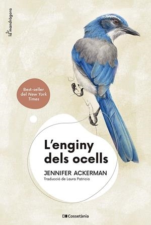 L'enginy dels ocells | Ackerman, Jennifer | Llibreria La Figaflor - Abrera