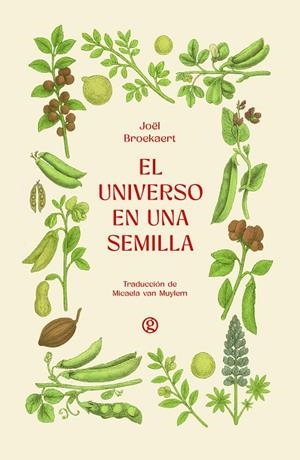 El universo en una semilla | Broekaert, Joël | Llibreria La Figaflor - Abrera