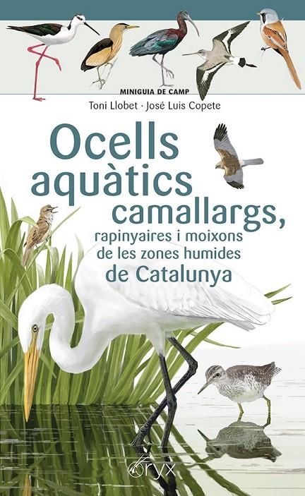 Ocells aquàtics camallargs, rapinyaires i moixons de les zones humides de Catalu | Copete, José Luis | Llibreria La Figaflor - Abrera