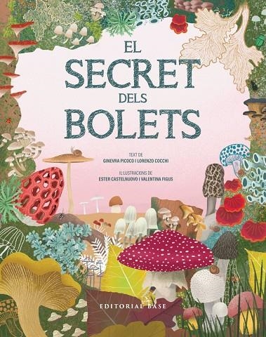 El secret dels bolets | Picoco, Ginevra / Cocchi, Lorenzo | Llibreria La Figaflor - Abrera