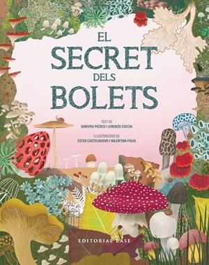 El secret dels bolets | Picoco, Ginevra / Cocchi, Lorenzo | Llibreria La Figaflor - Abrera