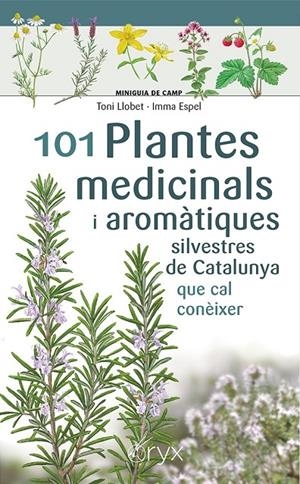 101 Plantes medicinals i aromàtiques silvestres de Catalunya | Espel, Imma / Llobet François, Toni | Llibreria La Figaflor - Abrera