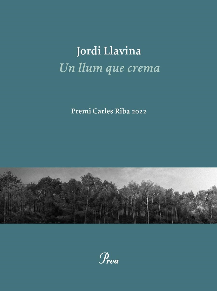 Un llum que crema | Jordi Llavina | Llibreria La Figaflor - Abrera