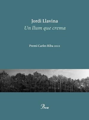 Un llum que crema | Jordi Llavina | Llibreria La Figaflor - Abrera
