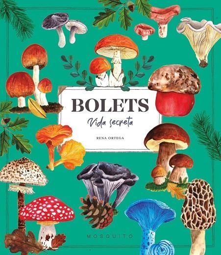 Bolets. Vida secreta | Ortega, Rena | Llibreria La Figaflor - Abrera