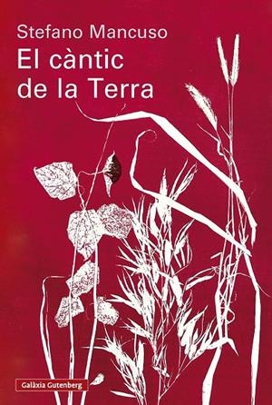 El càntic de la Terra | Mancuso, Stefano | Llibreria La Figaflor - Abrera