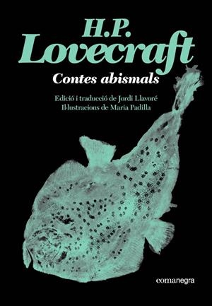 Contes abismals | Lovecraft, H.P. | Llibreria La Figaflor - Abrera