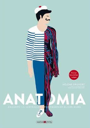 Anatomia | Druvert, Hélène | Llibreria La Figaflor - Abrera