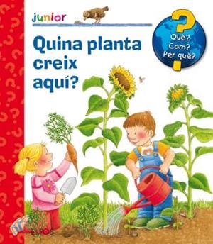 Quina planta creix aquí? | Droop, Constanza | Llibreria La Figaflor - Abrera