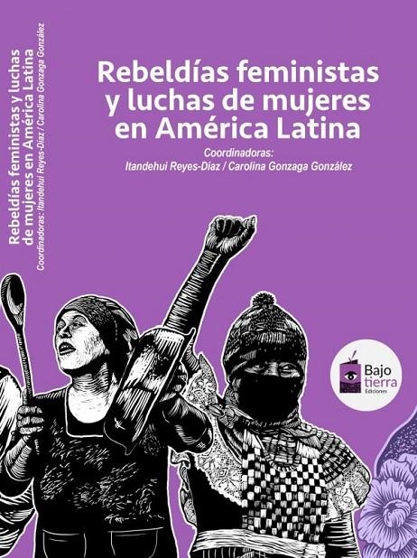 REBELDÍAS FEMINISTAS Y LUCHAS DE MUJERES EN AMÉRIC | Llibreria La Figaflor - Abrera