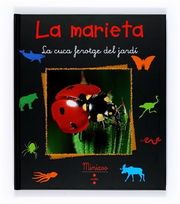 La marieta | Tracqui, Valérie | Llibreria La Figaflor - Abrera