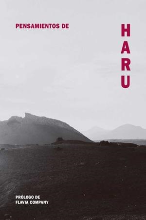 Pensamientos de Haru | Company, Flavia | Llibreria La Figaflor - Abrera