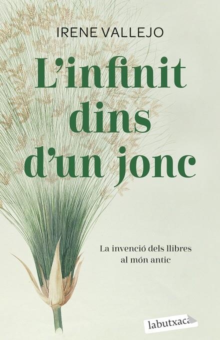 L'infinit dins d'un jonc | Vallejo, Irene | Llibreria La Figaflor - Abrera
