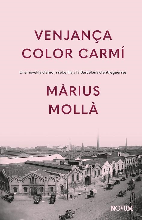 Venjança color carmí | 9788419311771 | Mollà, Màrius