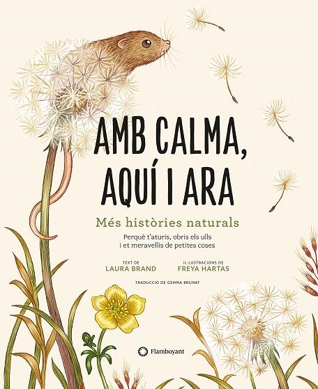 Amb calma, aquí i ara | Brand, Laura | Llibreria La Figaflor - Abrera