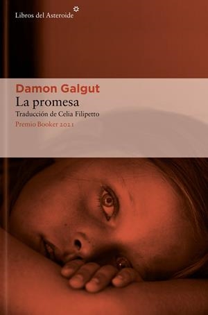 La promesa | Galgut, Damon | Llibreria La Figaflor - Abrera