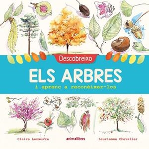 Descobreixo els arbres i aprenc a reconèixer-los | Lecoeuvre, Claire | Llibreria La Figaflor - Abrera
