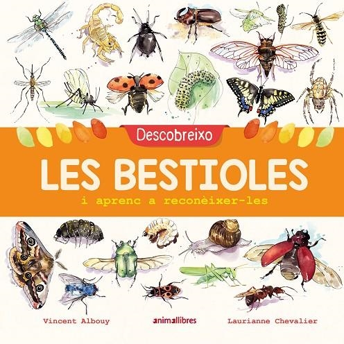 Descobreixo les bestioles i aprenc a reconèixer-les | 9788417599201 | Albouy, Vincent