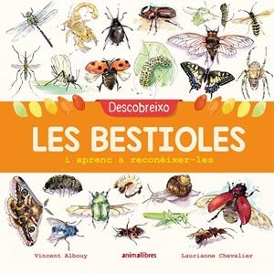 Descobreixo les bestioles i aprenc a reconèixer-les | Albouy, Vincent | Llibreria La Figaflor - Abrera